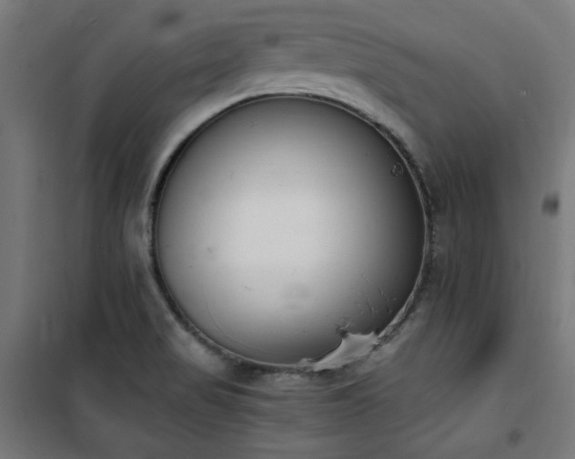 X0000101461517200807071417