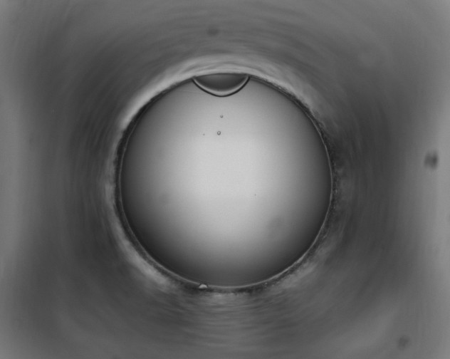 X0000101461518200807071417