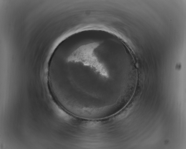 X0000101461519200807071417