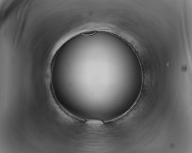 X0000101461520200807071417