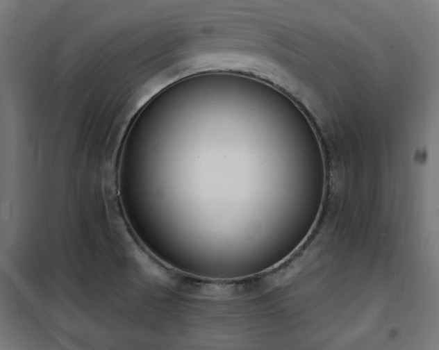 X0000101461521200807071417