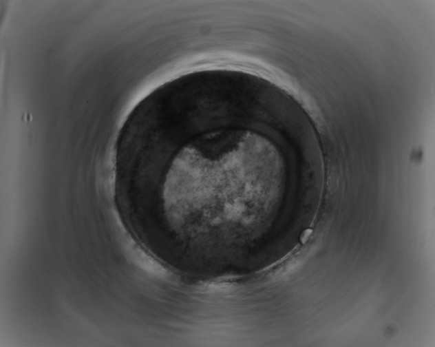 X0000101461522200807071417