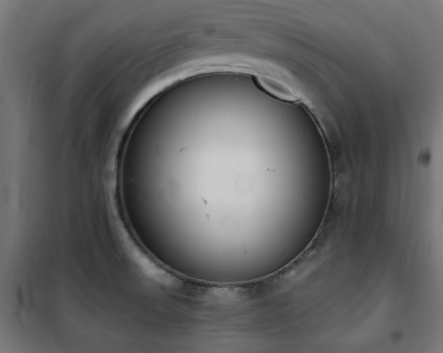 X0000101461523200807071417