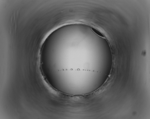 X0000101461524200807071417