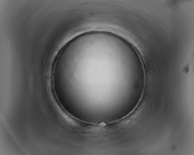 X0000101461525200807071417