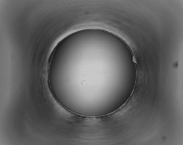 X0000101461526200807071417