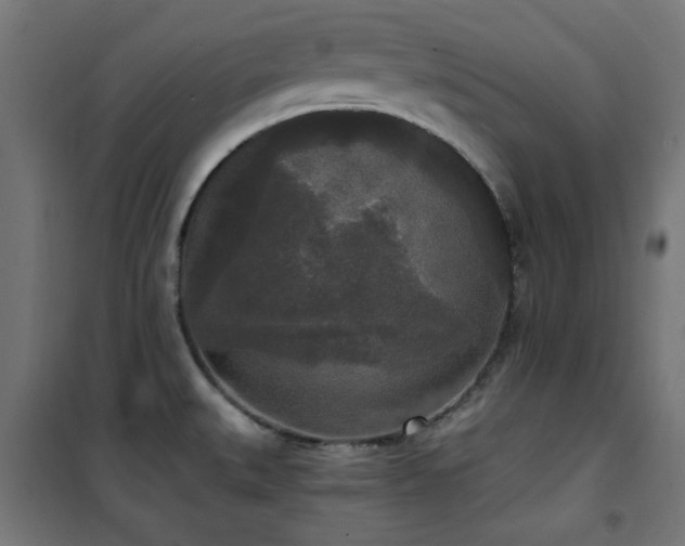 X0000101461527200807071417