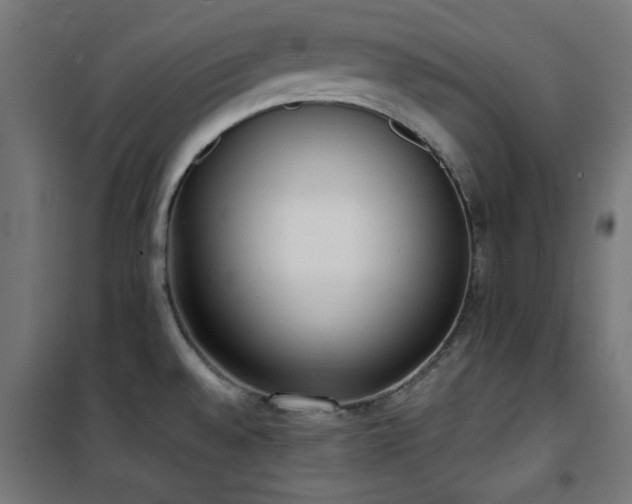 X0000101461528200807071417