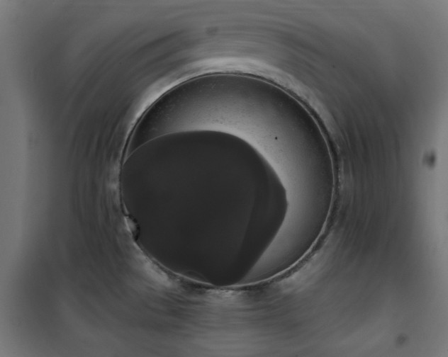 X0000101461529200807071417