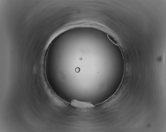 X0000101461530200807071417