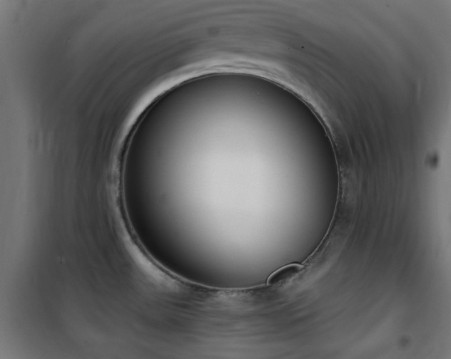 X0000101461531200807071417