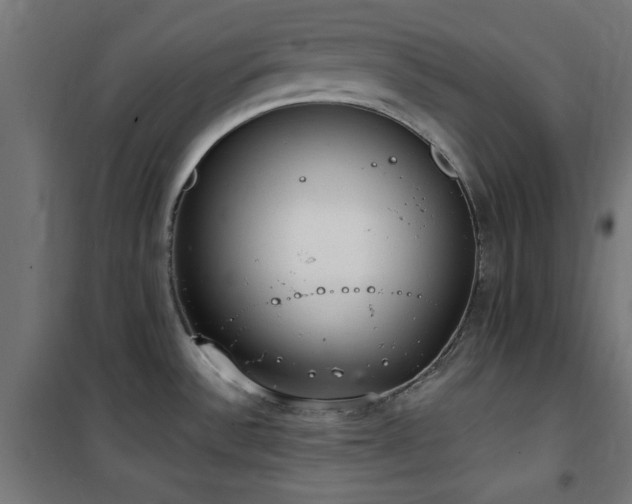X0000101461532200807071417