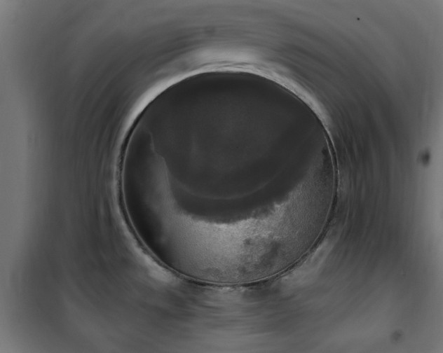X0000101461533200807071417