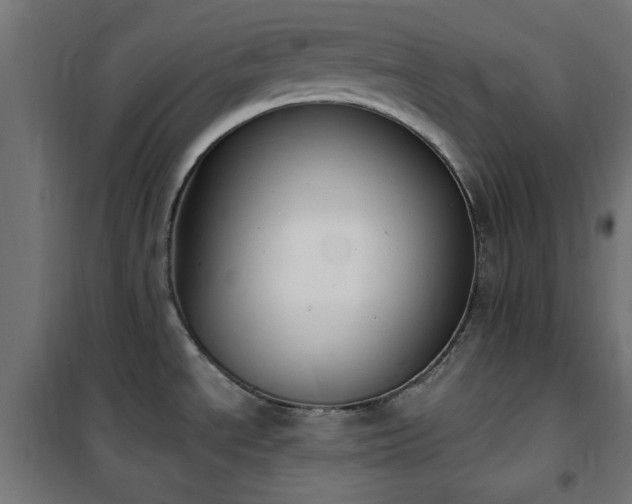 X0000101461534200807071417