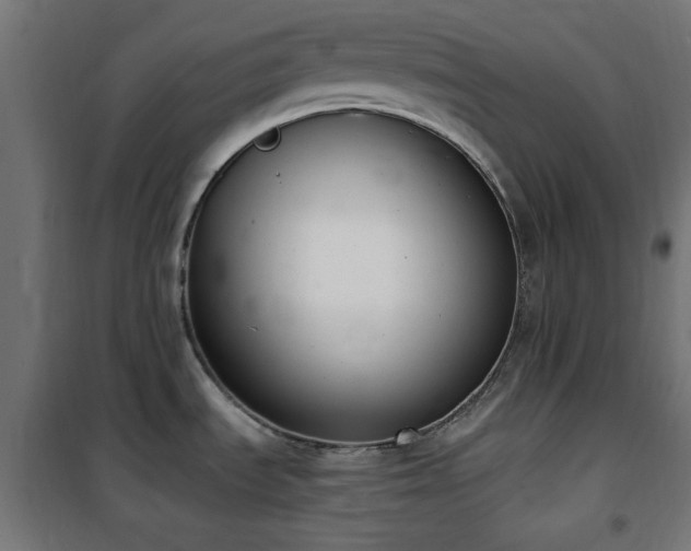 X0000101461535200807071417