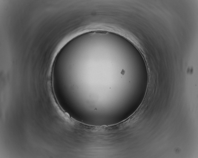 X0000101461536200807071417