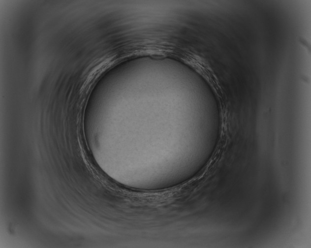 X0000101460001200807141317