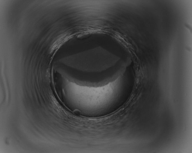 X0000101460002200807141317