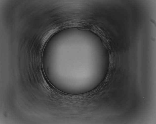 X0000101460003200807141317
