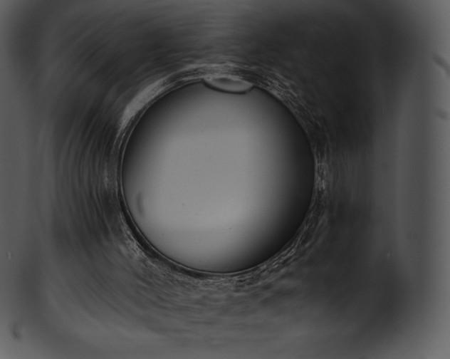X0000101460004200807141317