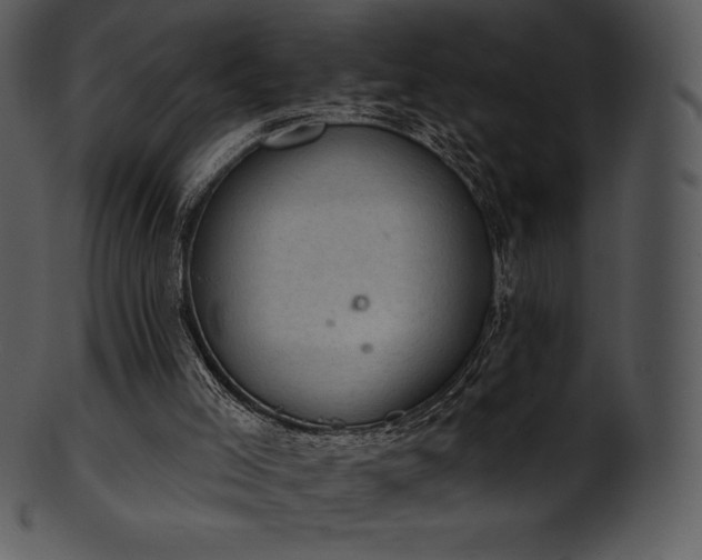 X0000101460005200807141317