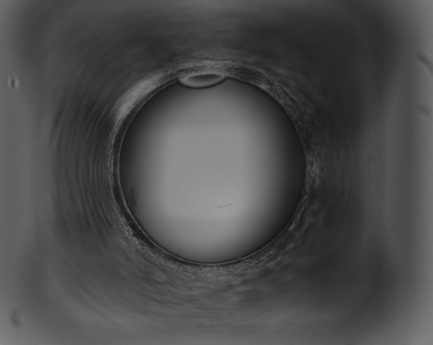 X0000101460006200807141317