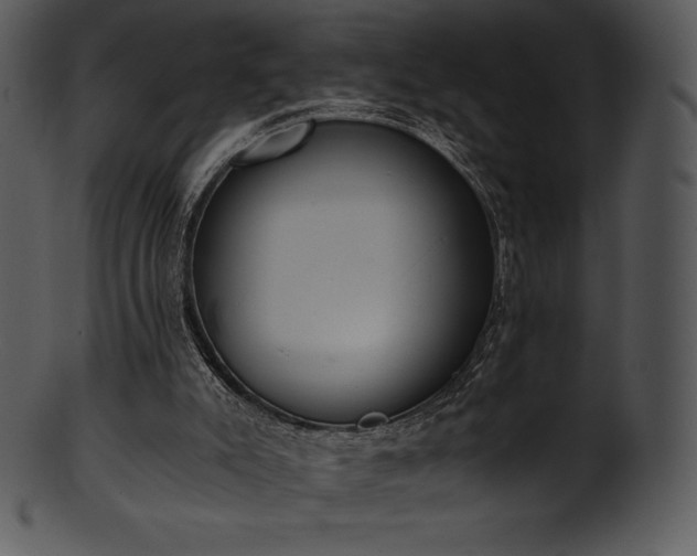 X0000101460007200807141317