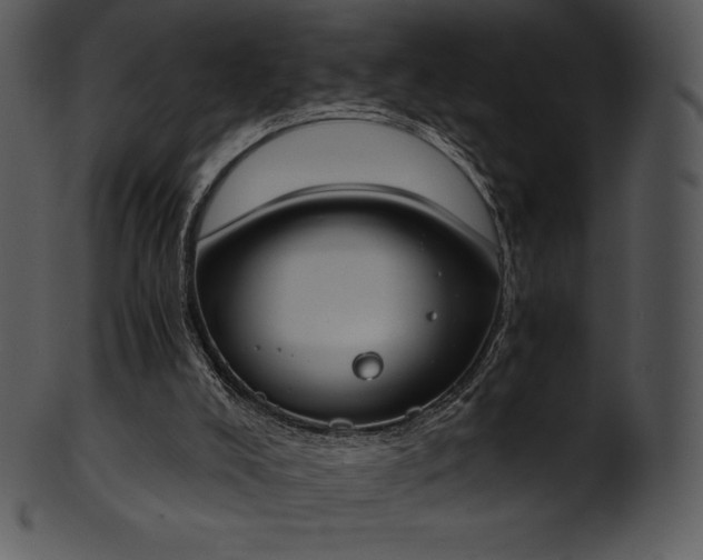 X0000101460008200807141317