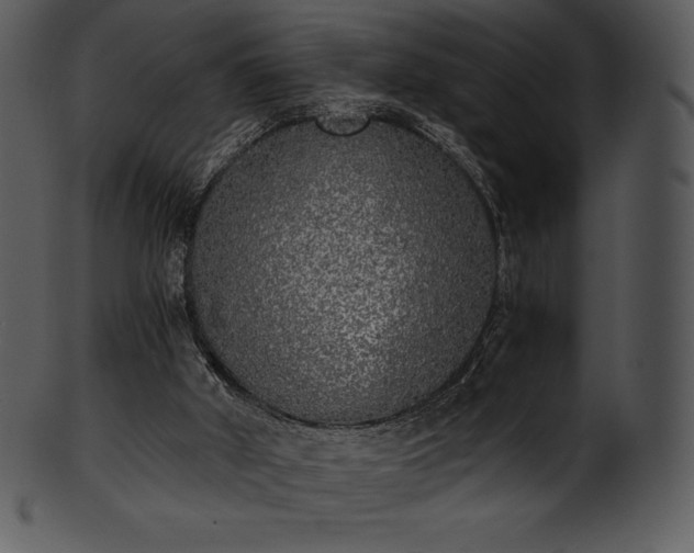 X0000101460010200807141317