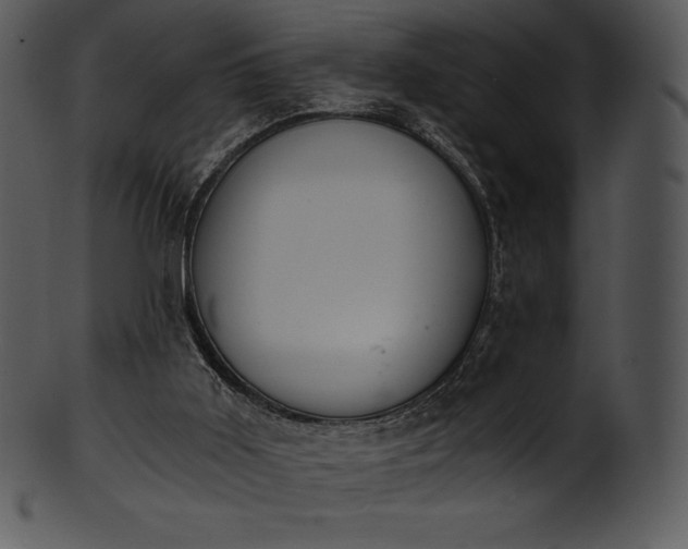 X0000101460011200807141317