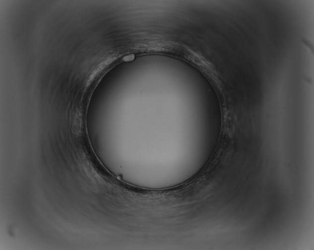 X0000101460012200807141317