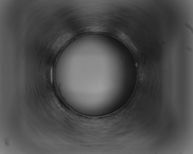 X0000101460014200807141317