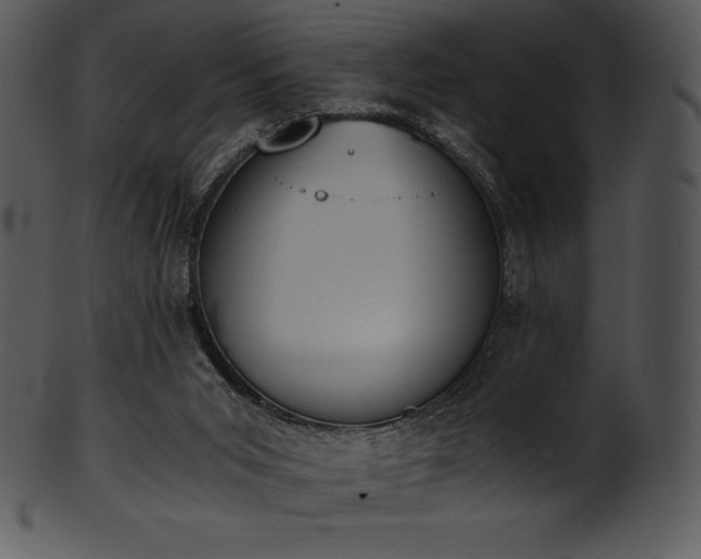 X0000101460015200807141317