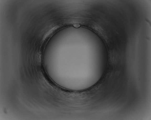X0000101460016200807141317