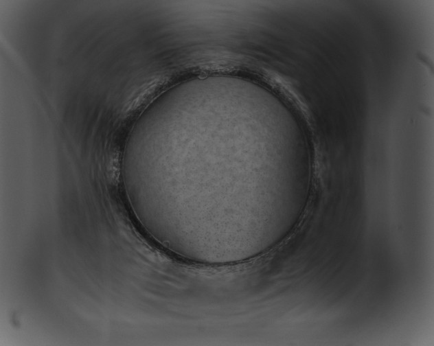 X0000101460017200807141317