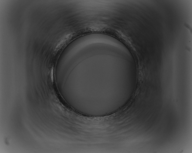 X0000101460019200807141317