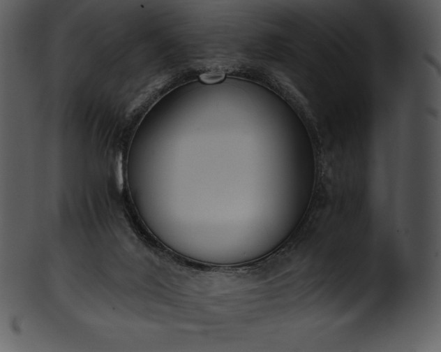 X0000101460020200807141317