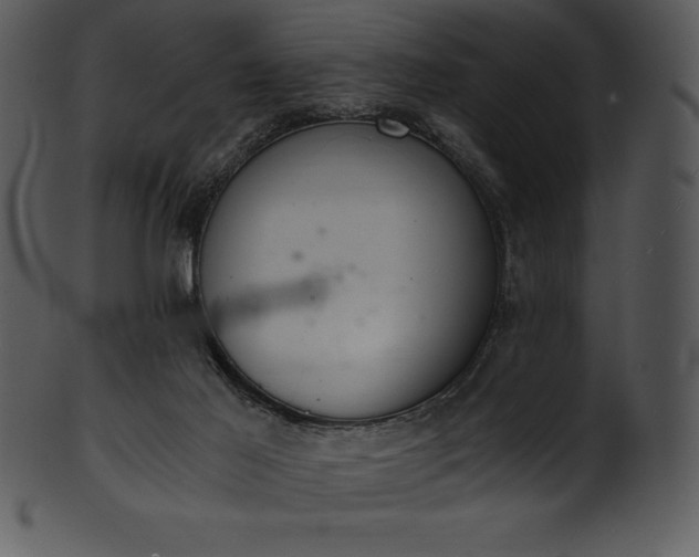 X0000101460021200807141317