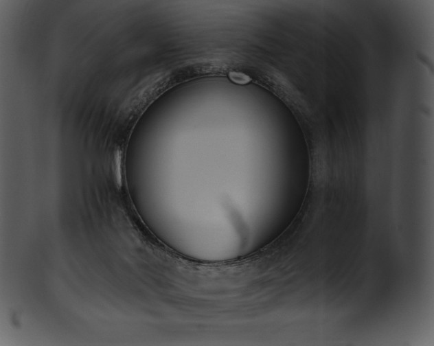 X0000101460022200807141317