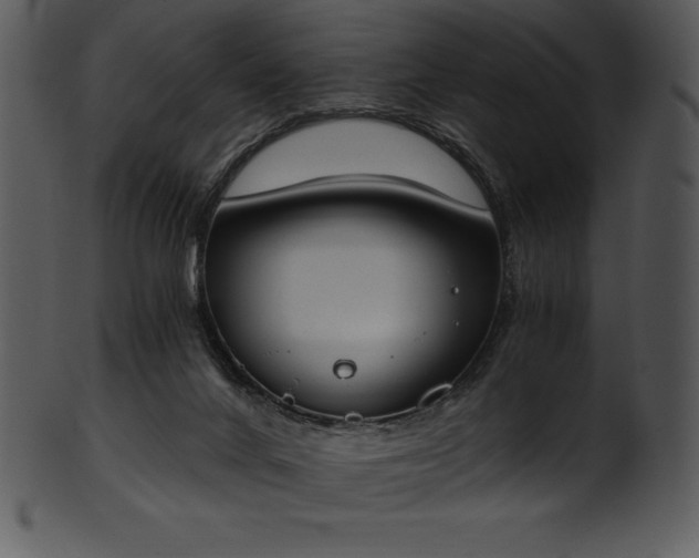 X0000101460024200807141317