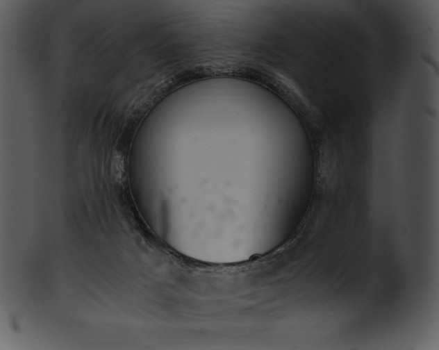 X0000101460025200807141317