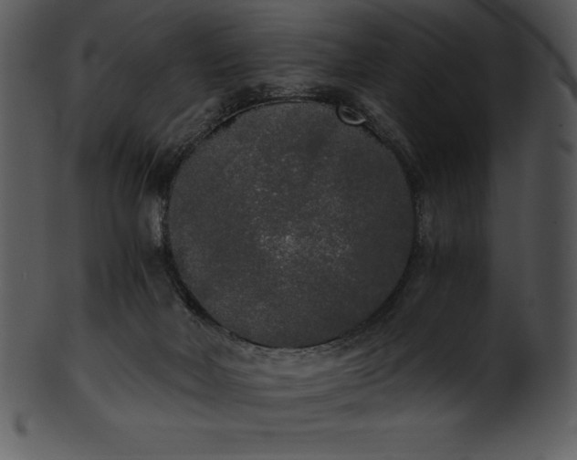X0000101460026200807141317