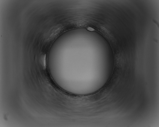 X0000101460028200807141317