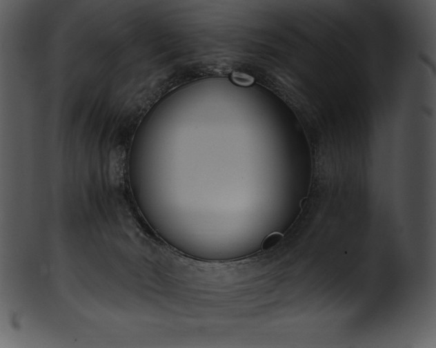 X0000101460030200807141317