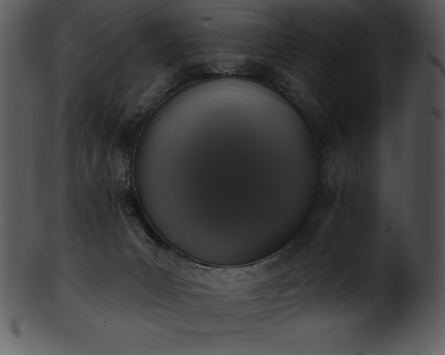 X0000101460031200807141317