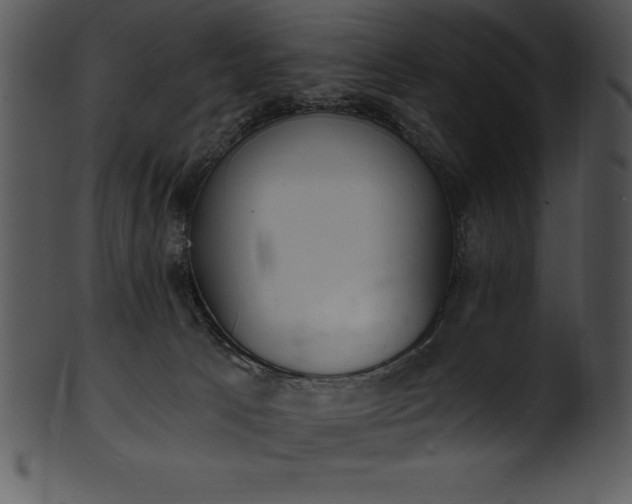 X0000101460033200807141317