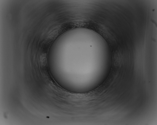 X0000101460034200807141317