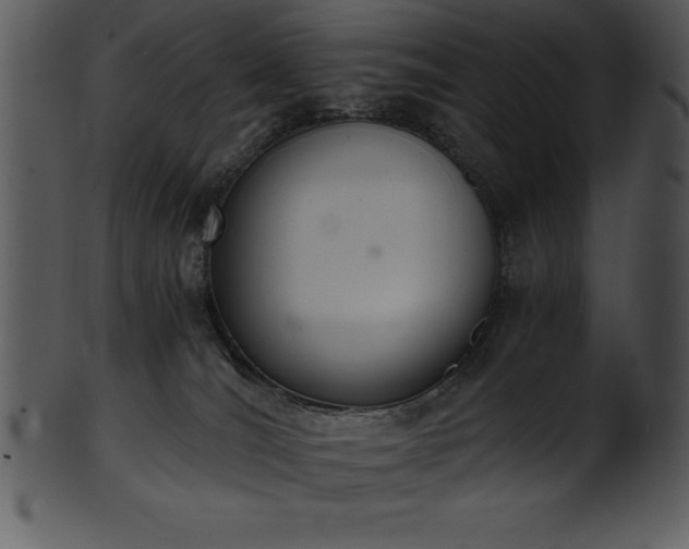 X0000101460036200807141317