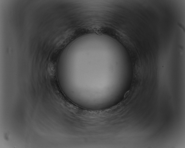X0000101460037200807141317