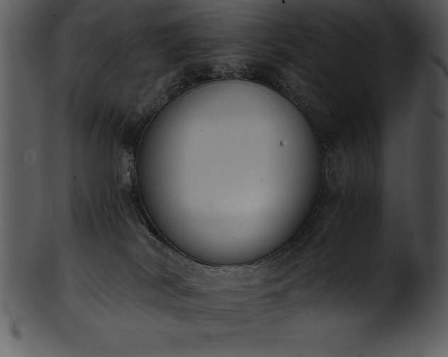 X0000101460038200807141316